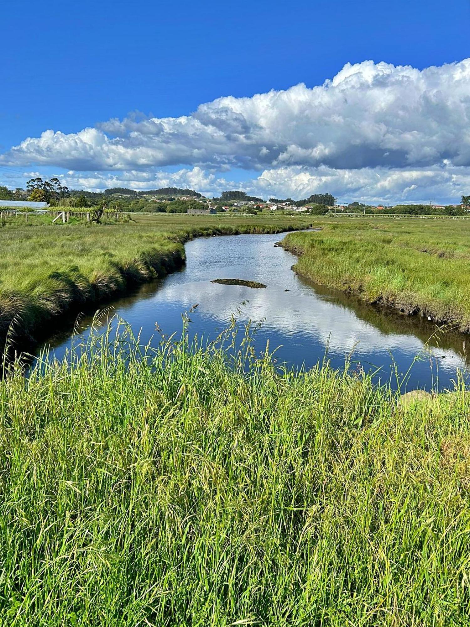 Marismas Do Umia - Apartamentos Turisticos Cambados Værelse billede